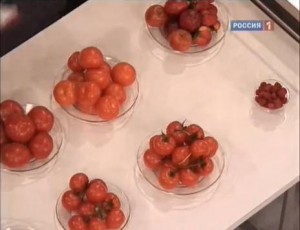 Все о помидорах